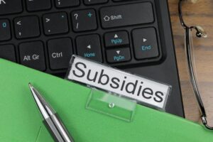 subsidies